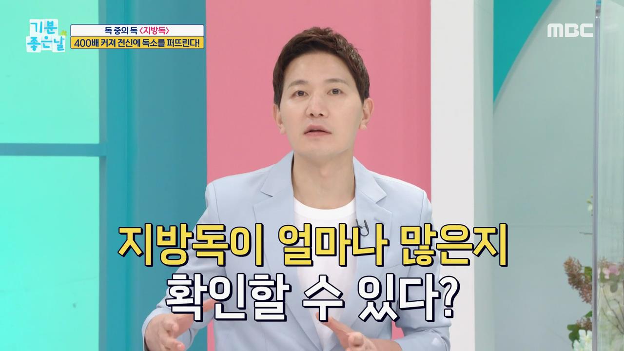 플레이어