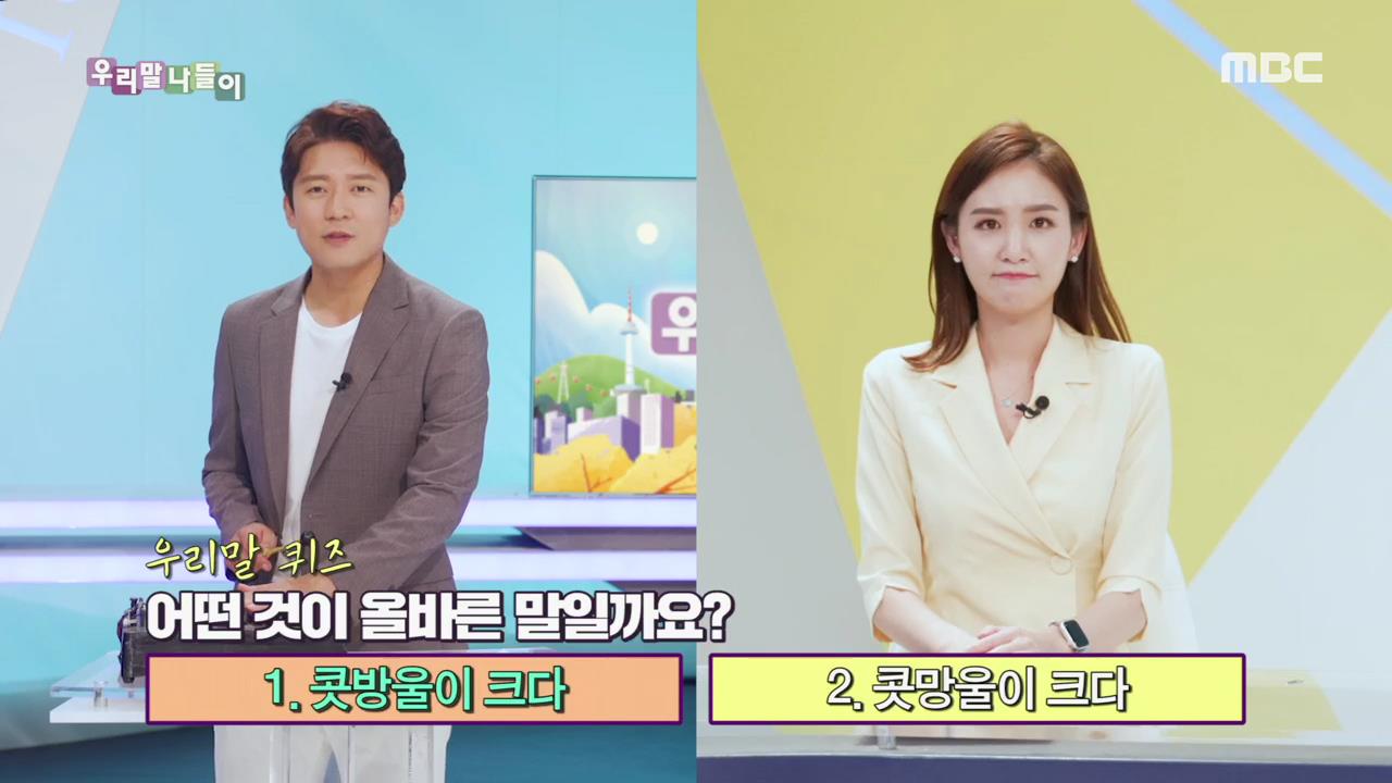 플레이어