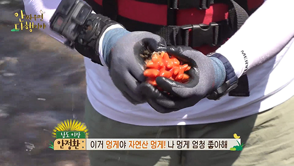 [선공개] 납도 이장 안정환! 납도 대표 해산물 멍게 사냥 성공! 클립