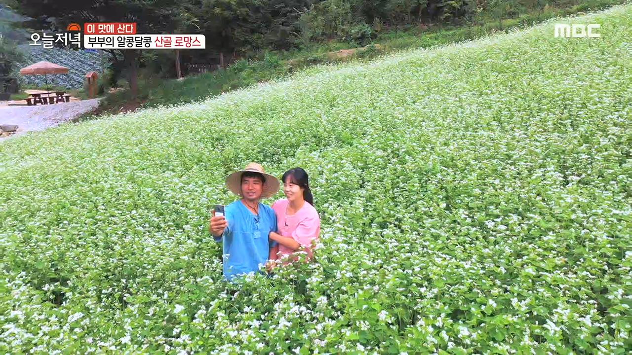 오징어는 칼국수를 좋아해♬ 오징어 쟁반칼국수 2. 100년 된 촌집 사위 성용 씨의 오지 생활 3. 소나무로 通했다! 경기도 이천 숲속 전원주... 
