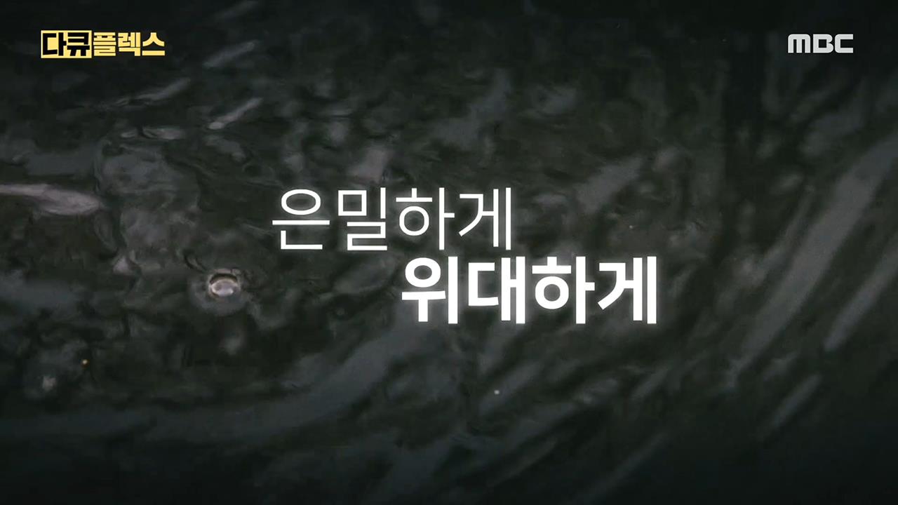 다큐플렉스 29회