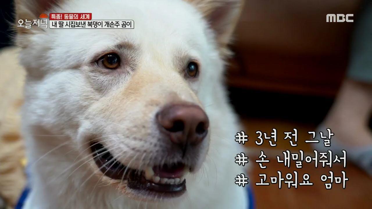 플레이어