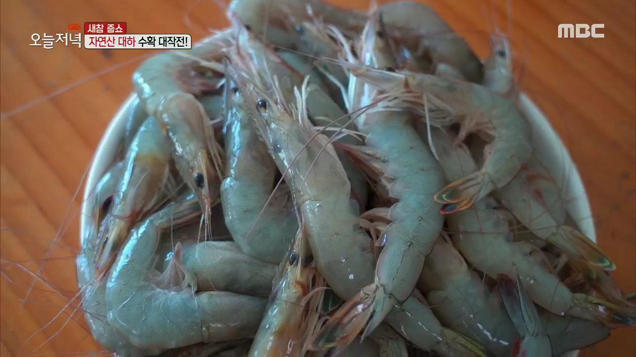 플레이어