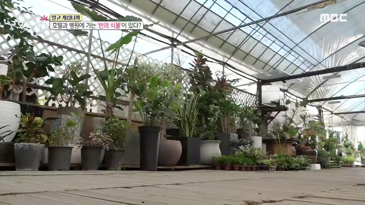 플레이어