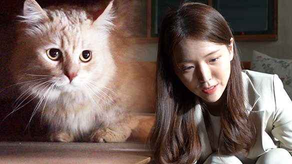 [메이킹] 미방분 스폐셜, 제이💕와 제리😻의 만남! 클립