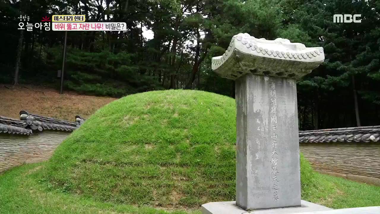 플레이어