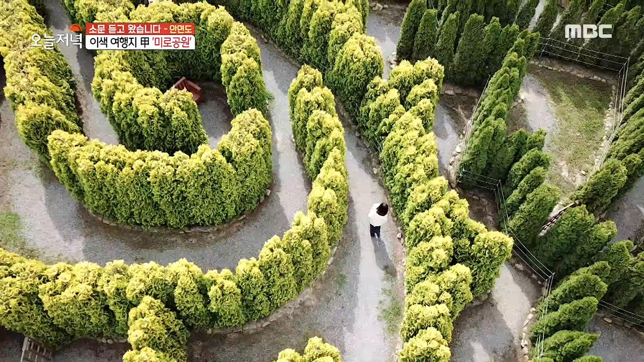 플레이어