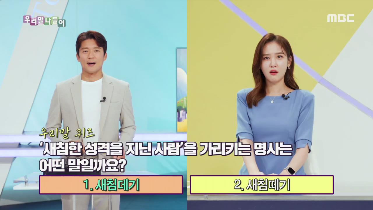 플레이어