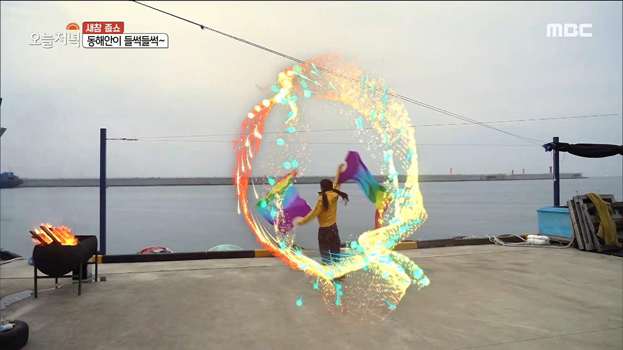 플레이어