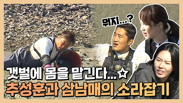 [기획영상] 갯벌...쉽지않네...☆ 추성훈과 삼 남매의 소라잡기 클립
