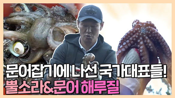 [기획영상] 문어잡기🐙에 나선 국가대표들! 뿔소라&문어 해루질🌊 클립