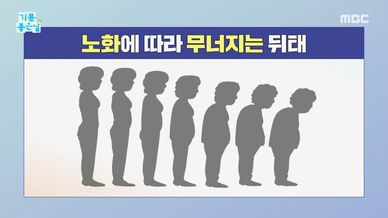 플레이어