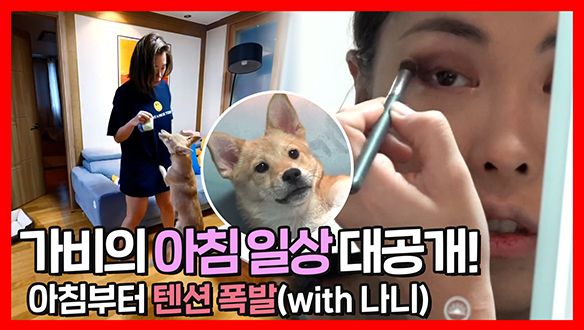 [기획영상]주인 닮아 아침부터 텐션 폭발하는 나니🐕와 가비의 아침일상 대공개! 클립