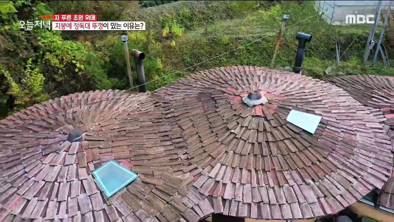 플레이어
