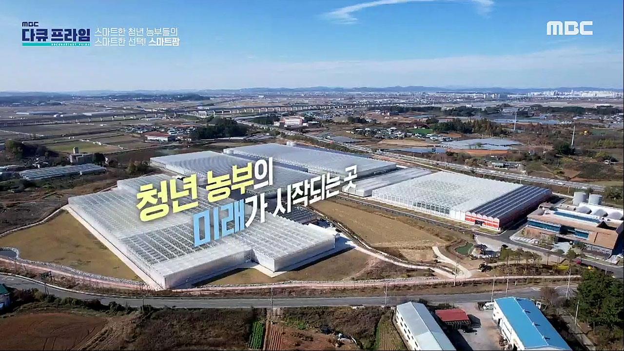 플레이어