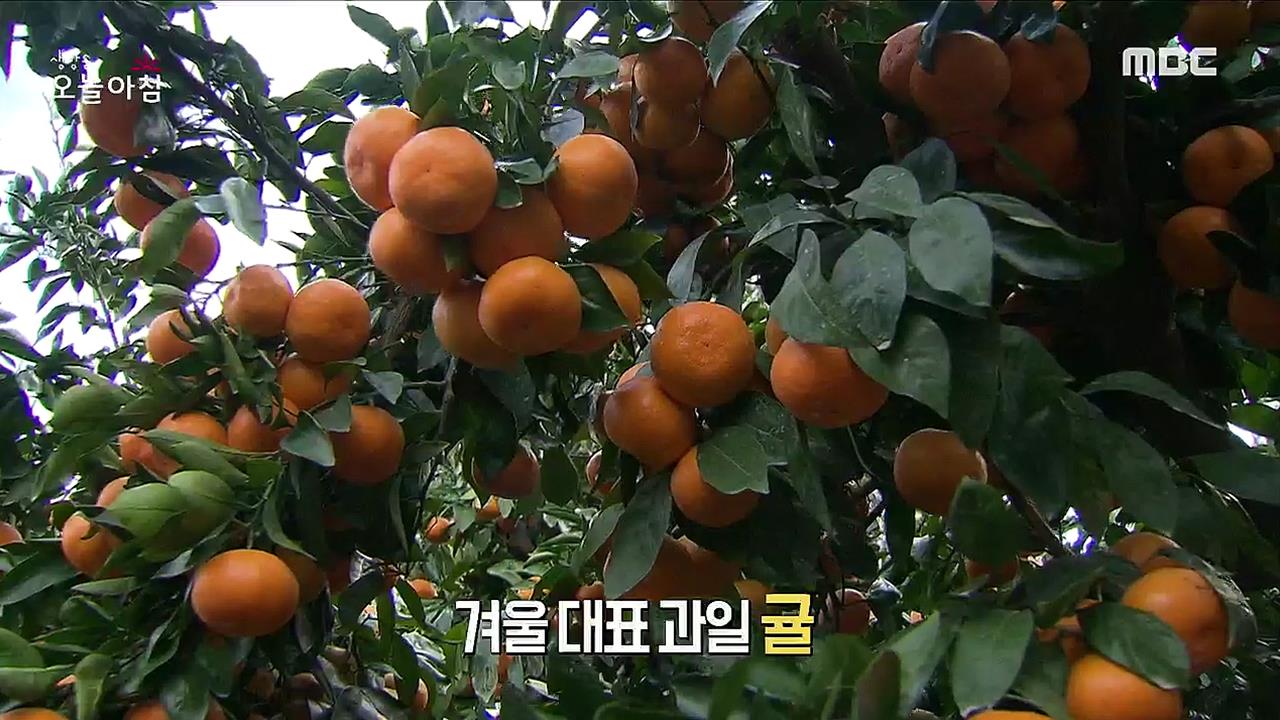 플레이어