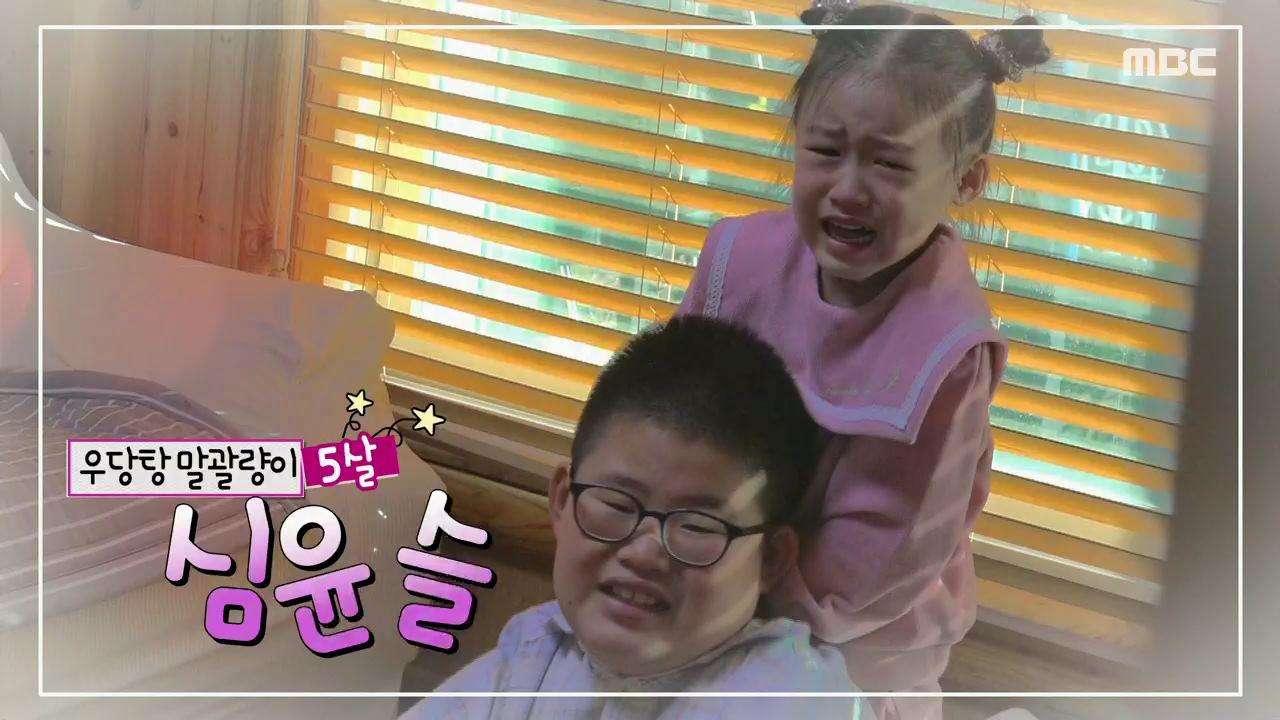 플레이어