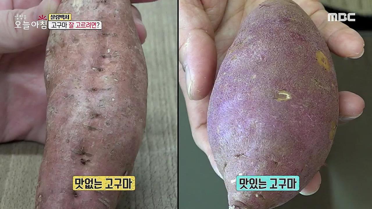 플레이어