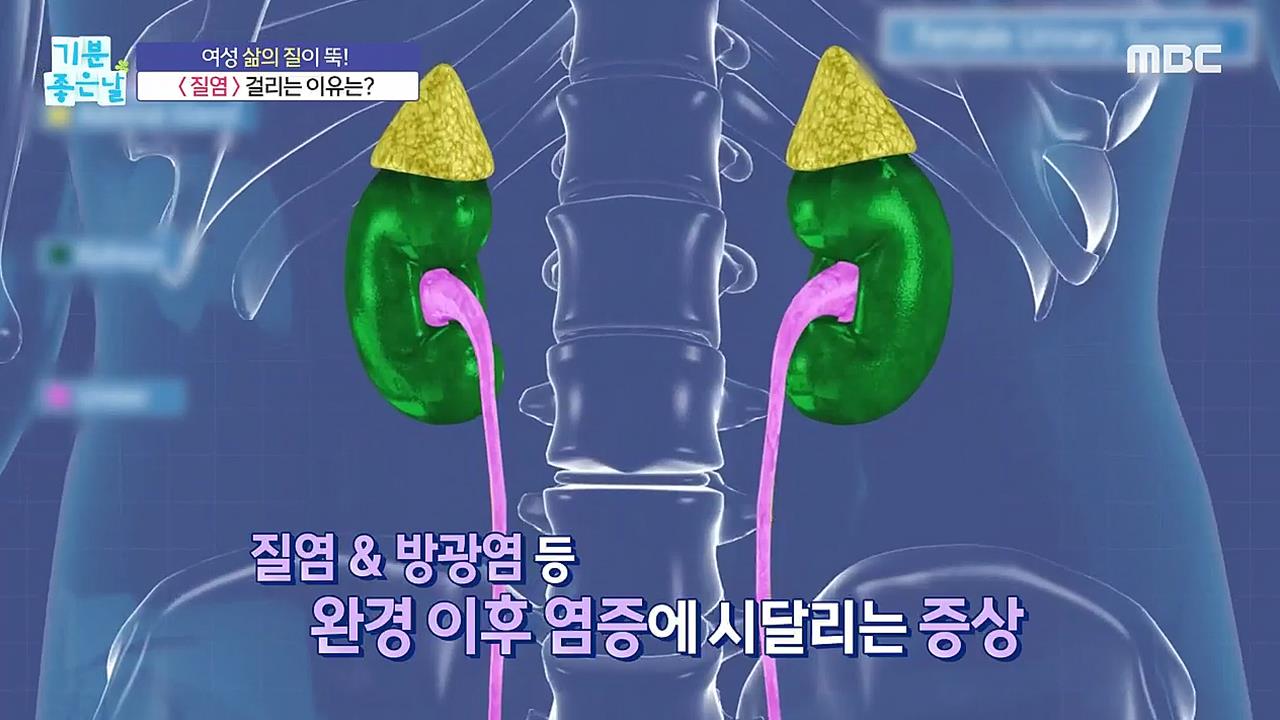 플레이어