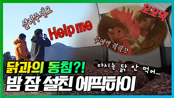 [기획영상] 🦃"닭우는소리 좀 안 들리게 해라악!"🐓 닭으로 끝내고 닭으로 시작하는 에픽하이😫 클립