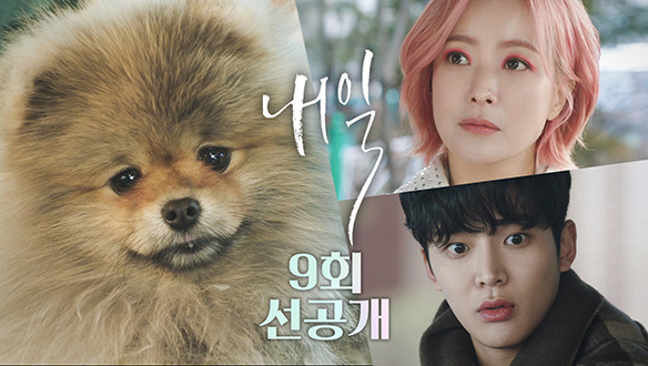 [9회 선공개] 이번 자살 예정자는 강아지?!🐶 클립