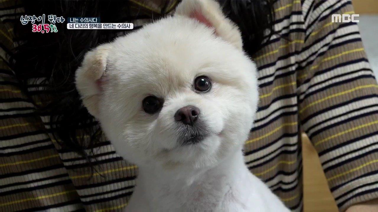 플레이어