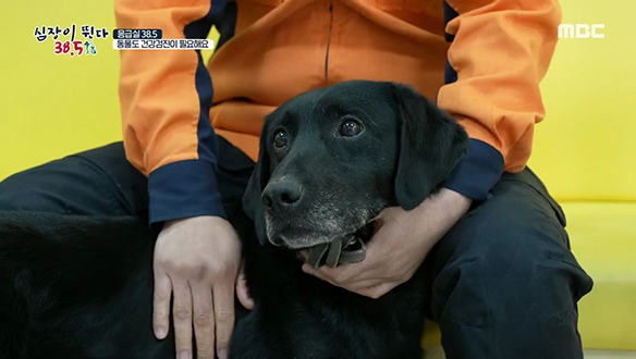 동물도 건강검진이 필요해요