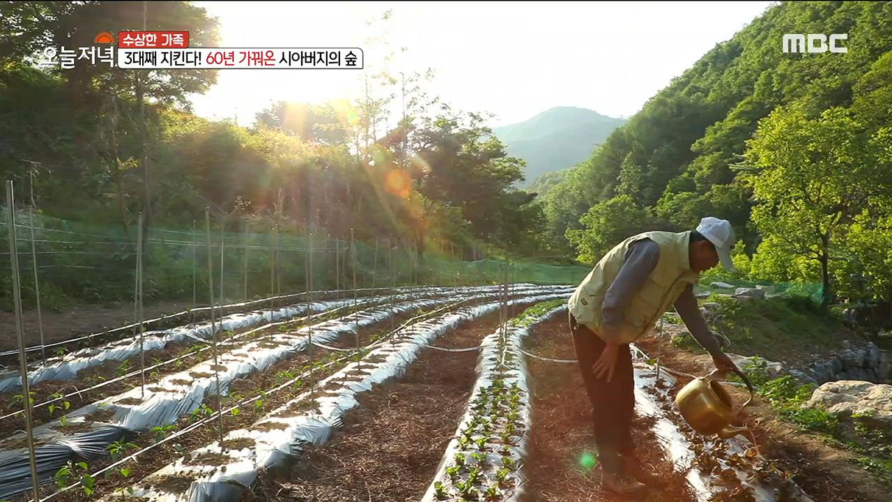 플레이어