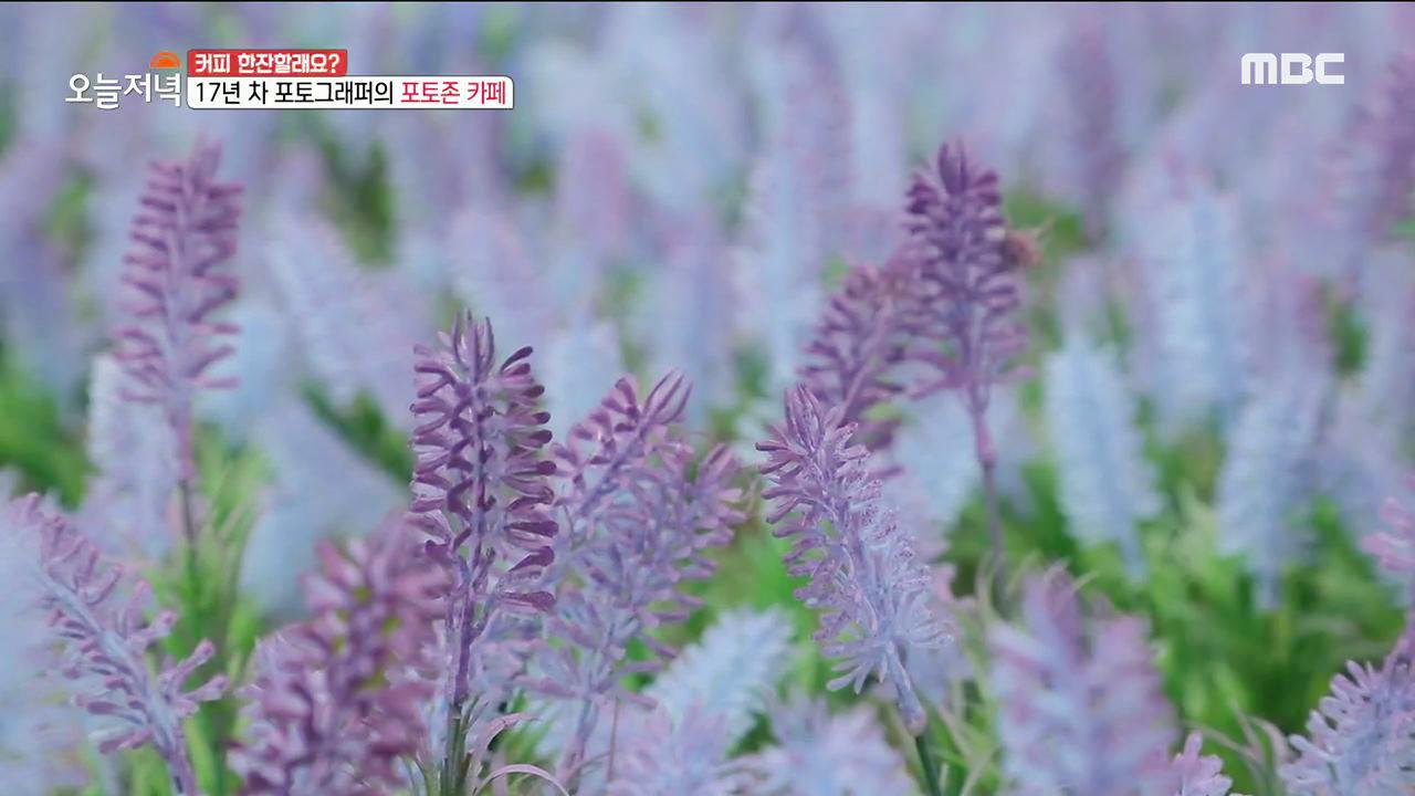 플레이어