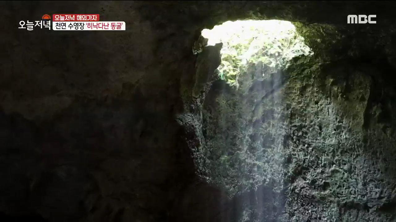 플레이어