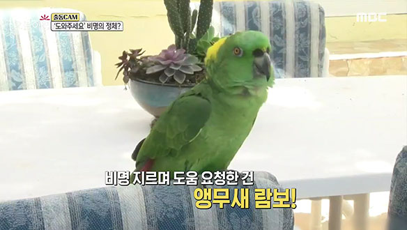 1. 생방송 오늘아침, 4,000회!<br>2. 교내에서 사망, 무슨 일이?<br>3. 굴착기의 정체성?<br>4. 위험천만! 아찔한 현장 속으로