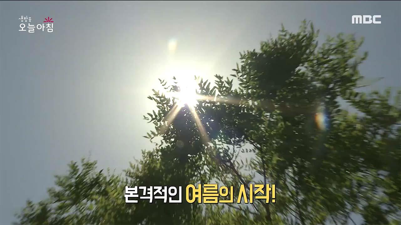 플레이어