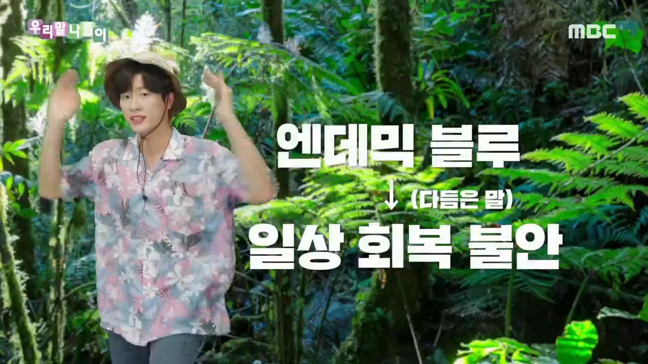 플레이어