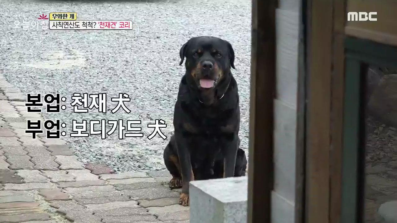 플레이어