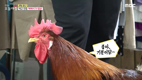 1. 아파트 9층서 가구 투척, 왜?<br>2. 길 한가운데 수영장? “내 땅 지나가지 마!”<br>3. 한 여자와 두 남편<br>4. 애교 만점 '삑삑이'가 떴닭! <br>5. 한 끼 8천 원? 우리 아이를 부탁해!