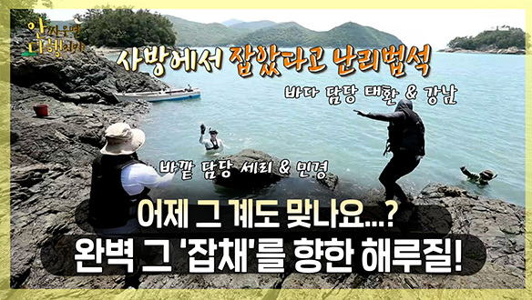[기획영상] 어제 그 섬 맞나요..?😲 완벽 그 '잡채'를 향한 해루질! 클립