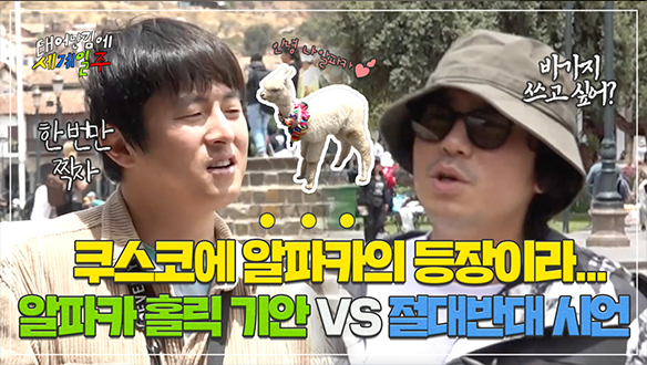 [선공개] 기안84, 쿠스코 투어 중 알파카와의 운명적인 만남💕 "알파카 하나 사진..☹️" 알파카 홀릭 기안84 VS 절대 반대 이시언! 클립
