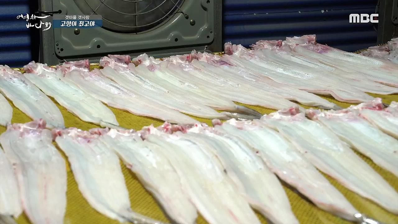 플레이어