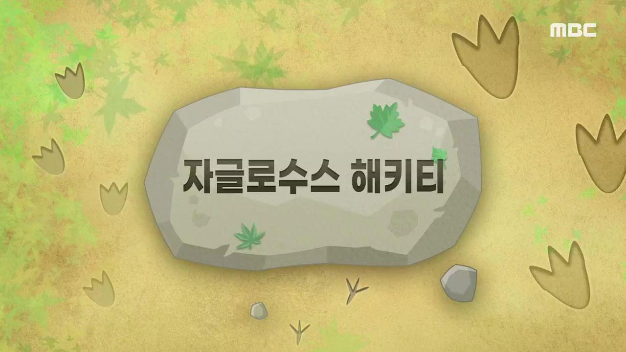 플레이어