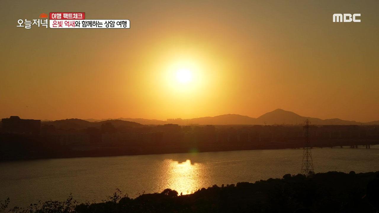 플레이어