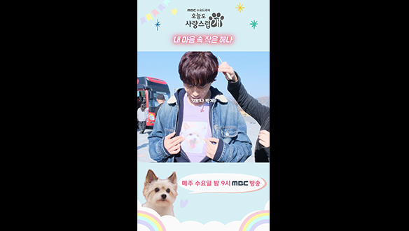 [쇼츠] 현수 마음속 작은 규영이❣ 클립