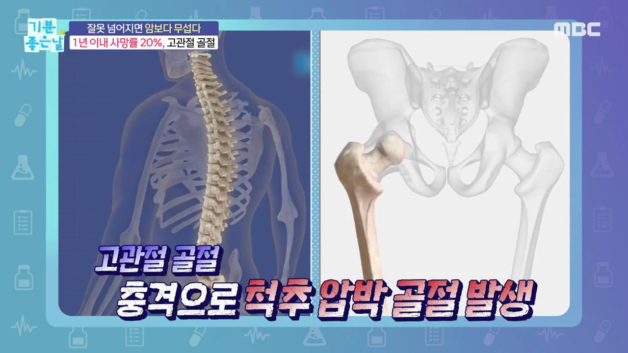 플레이어