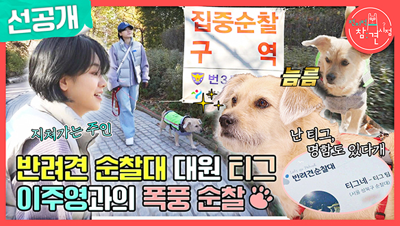 [선공개] 대세 배우 이주영! 반려견과의 산책..이 아니라 순찰?!🐶 클립