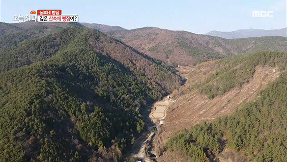 1. 산골짜기 외딴집이 빵지순례 명소? <br>2. 추울수록 뜨거워지는 땅굴의 비밀 <br>3. 부부싸움으로 조회수 천만 찍은 사연은? <br>4. 직장인 취향 저격! 연 매출 3억, 숯불 더덕 닭갈비