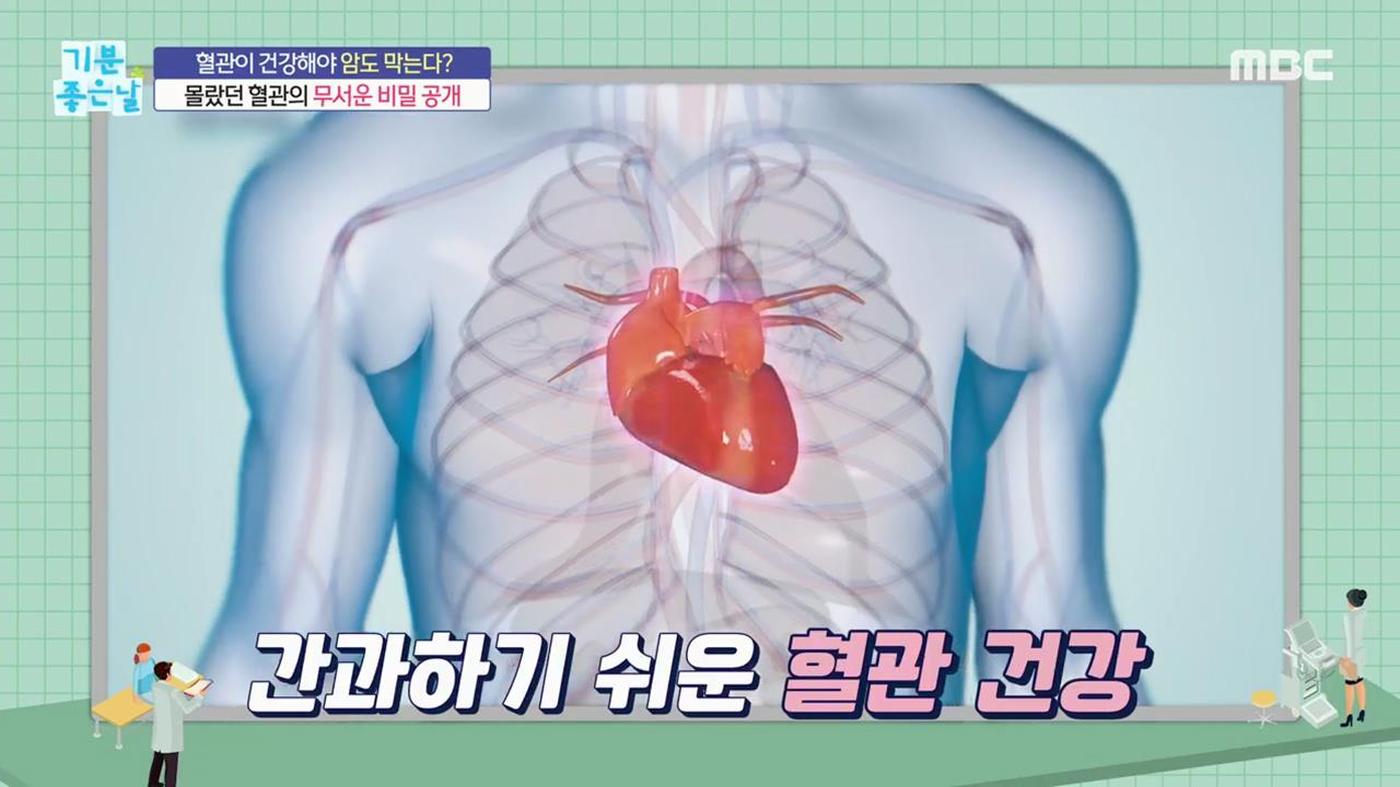 다시보기 | 기분 좋은 날 | 만나면 좋은 친구 MBC 다시보기 | 기분 좋은 날 | 만나면 좋은 친구 Mbc