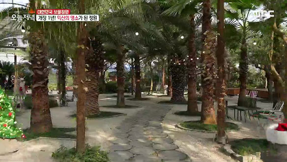1. 개조비용만 5억 원?! 달리는 스위트룸 <br>2. 연매출 8억 원! 매운 만두의 비밀은? <br>4. 산을 깎아 만든 익산의 동남아 <br>4. 엄마의 고집을 꺾은 잔소리꾼 아들?!