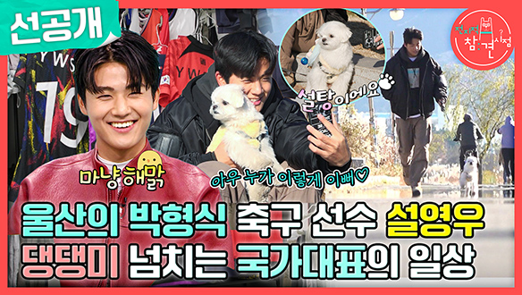 [선공개] 울산의 아들 설영우, 반려견 설탕이와 함께 하는 아침 산책! 댕댕이가 둘?🐶 클립