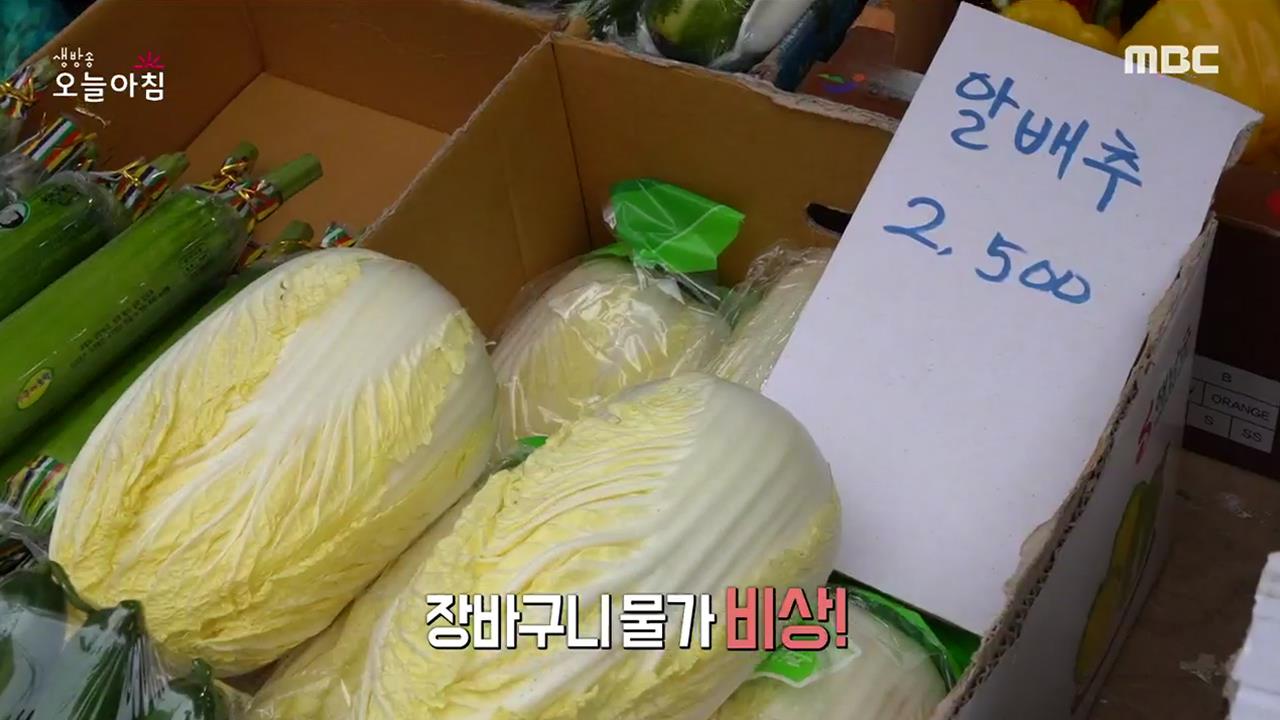 플레이어