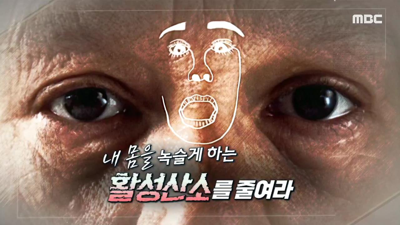 플레이어