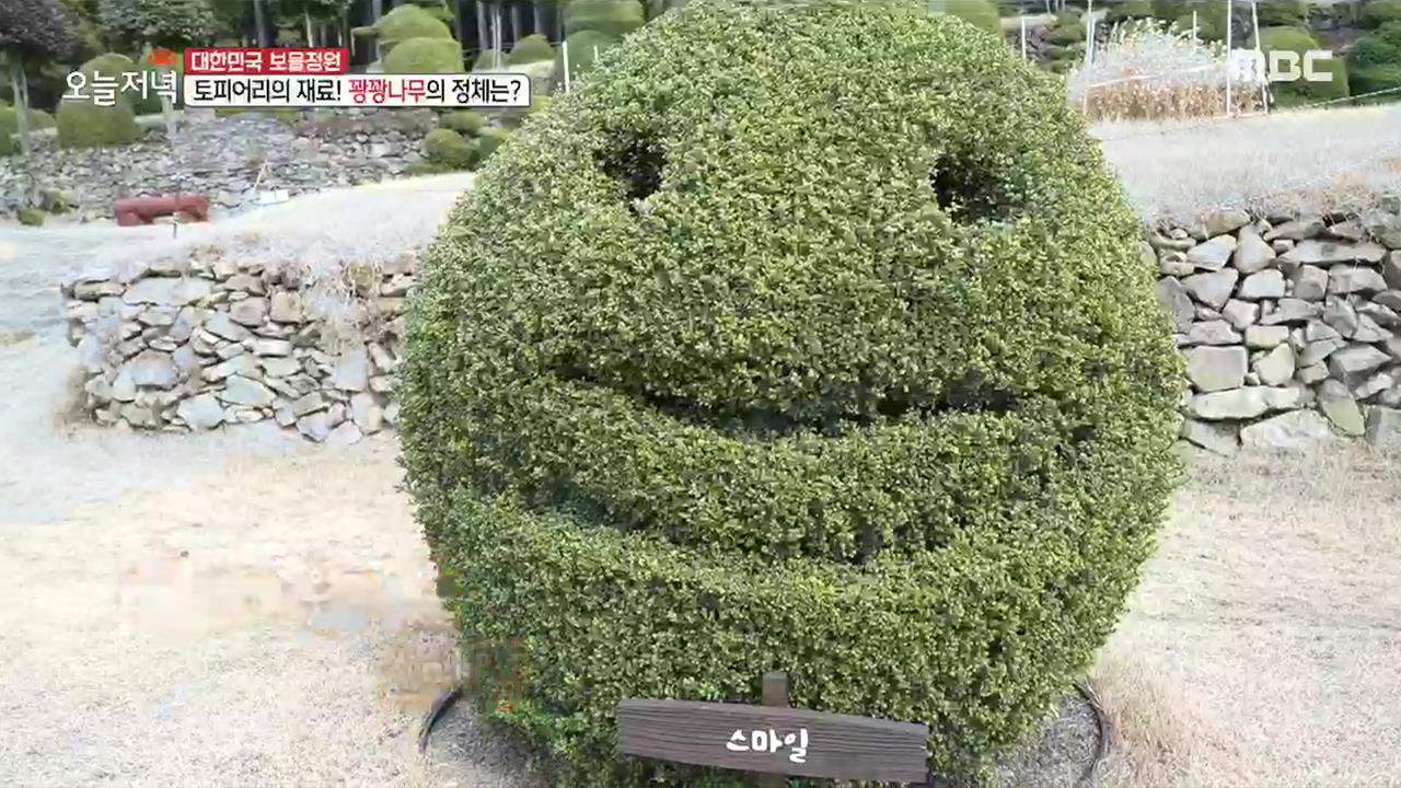 플레이어